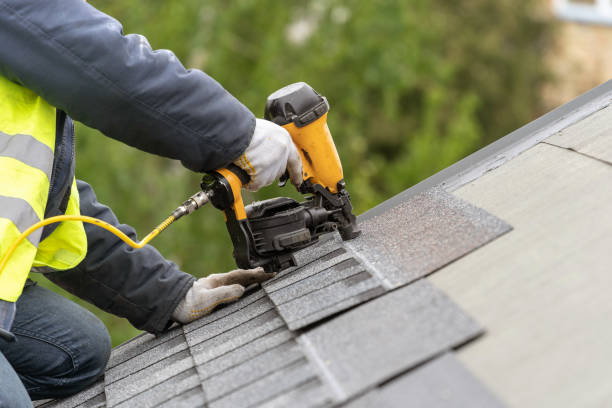 Best Gutter Installation and Repair  in Muleshoe, TX